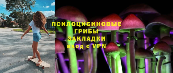 ПСИЛОЦИБИНОВЫЕ ГРИБЫ Абаза